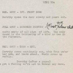 Script the wizard of oz