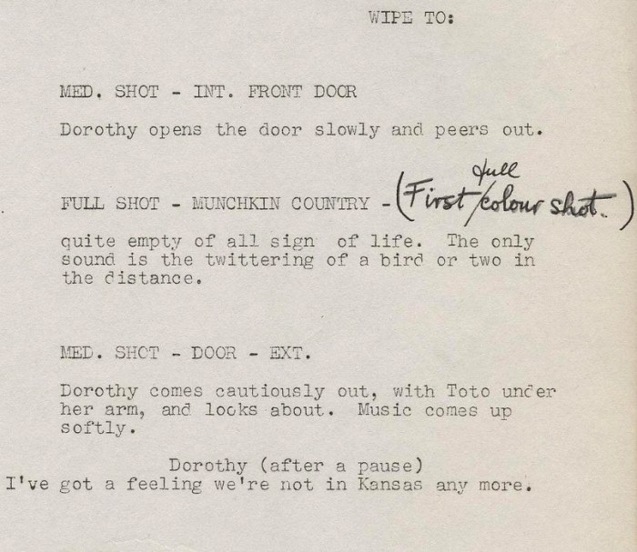 Script the wizard of oz