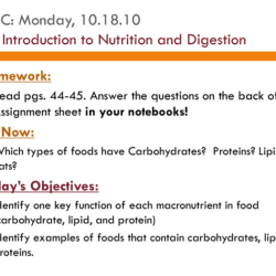 Pretest energy use and organisms