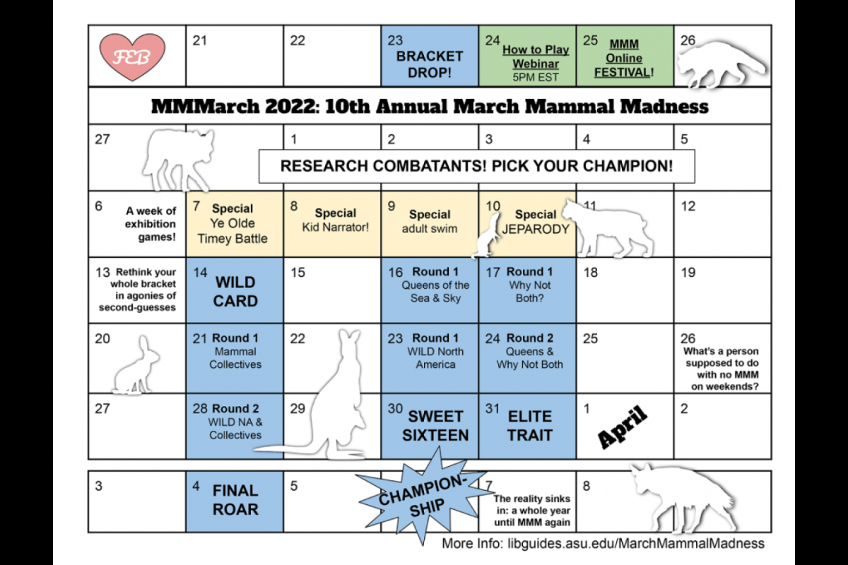 Math madness march writing persuasive youngteacherlove packs spring project