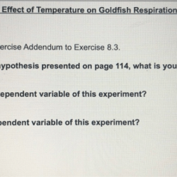 Goldfish tail circulation lab answers