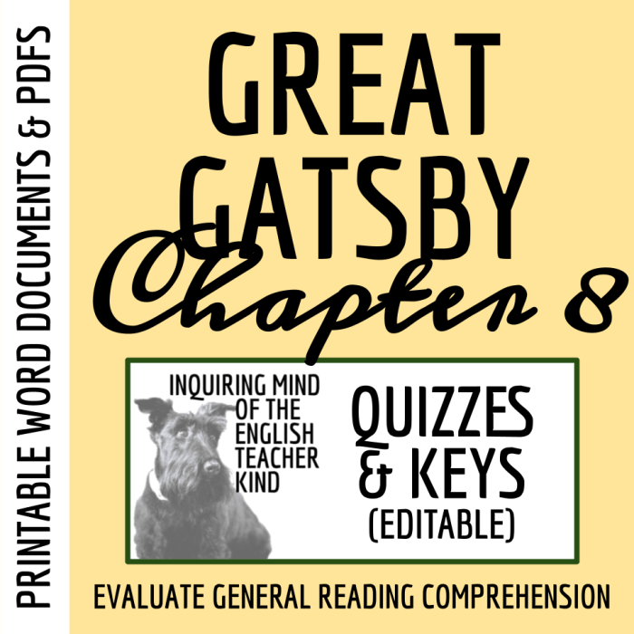 The great gatsby questions chapter 6