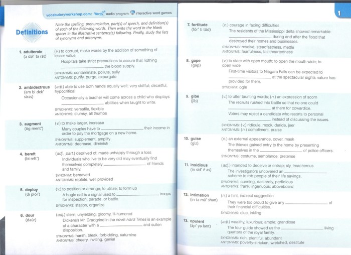 Vocab workshop level e unit 2