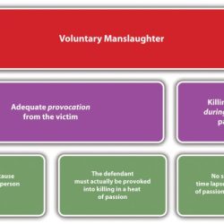 What is the difference between voluntary and involuntary manslaughter