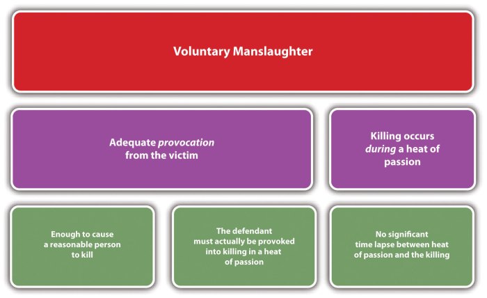 What is the difference between voluntary and involuntary manslaughter