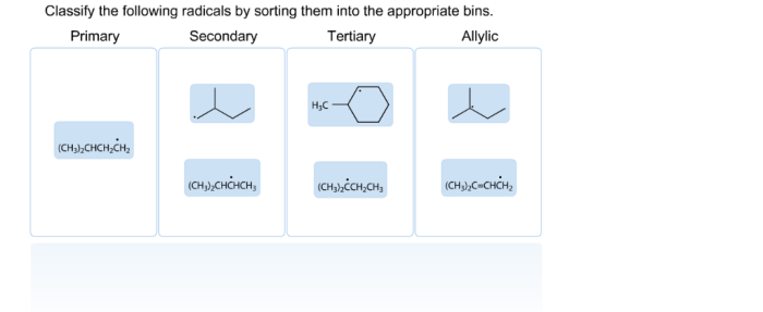 Classify radicals following sorting appropriate them into bins